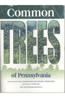 Cover of Common Trees of Pennsylvania