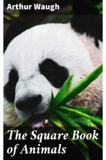 Cover of The Square Book of Animals